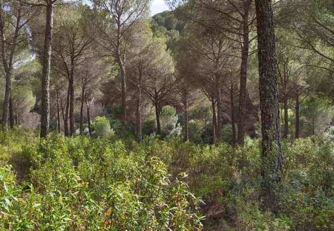 Cartel BiossFera Terra